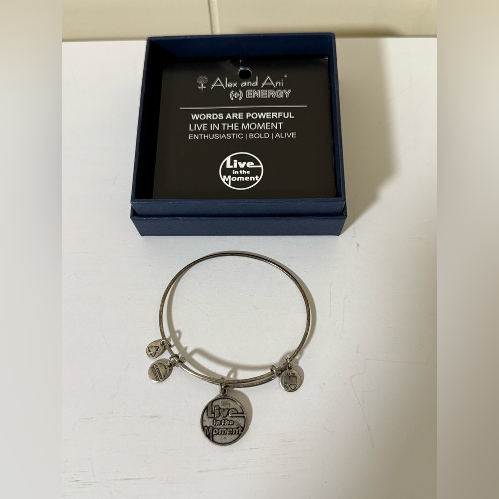 Alex and Ani Live in the Moment Bracelet
